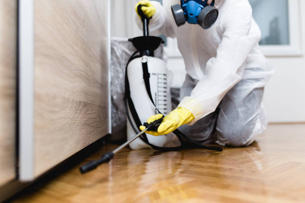 Best Wasp Removal Services  in Hartshorne, OK