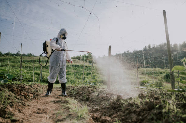 Best Local Pest Control Services  in Hartshorne, OK