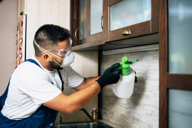 Best Cockroach Control Services  in Hartshorne, OK