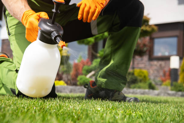Best Bed Bug Extermination  in Hartshorne, OK