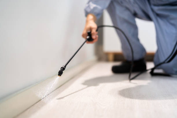 Best Rat Extermination Near Me  in Hartshorne, OK