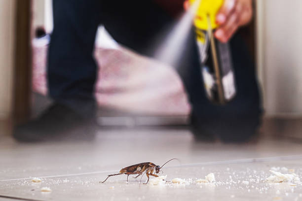 Best Bed Bug Extermination  in Hartshorne, OK