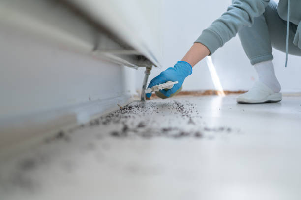 Best Termite Control Services  in Hartshorne, OK