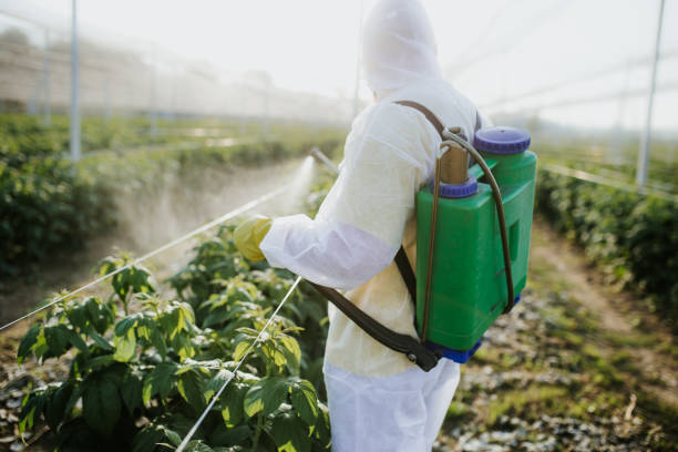 Trusted Hartshorne, OK Pest Control Experts